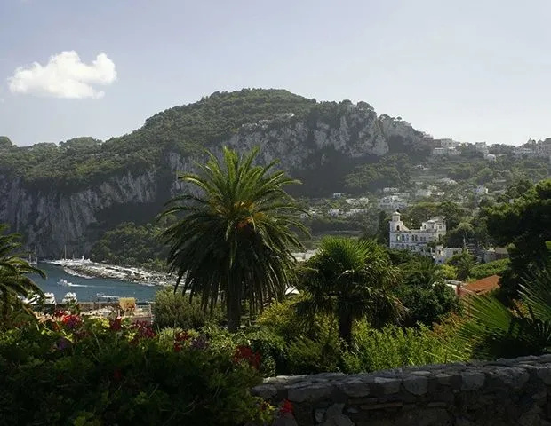 Villa Camelia