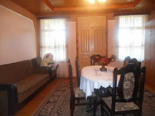 Gagarin House
