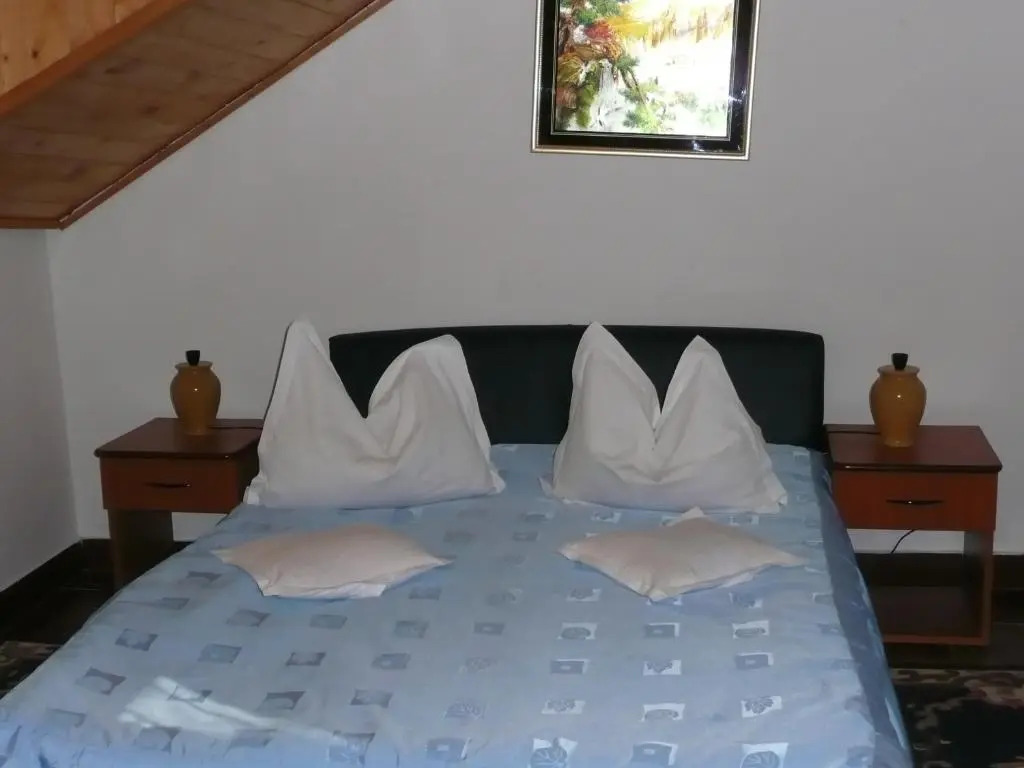 Holiday Houses