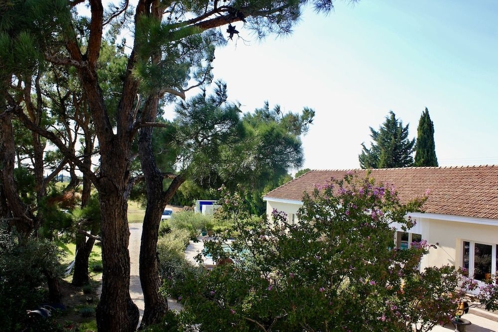 Le Clos Vitis
