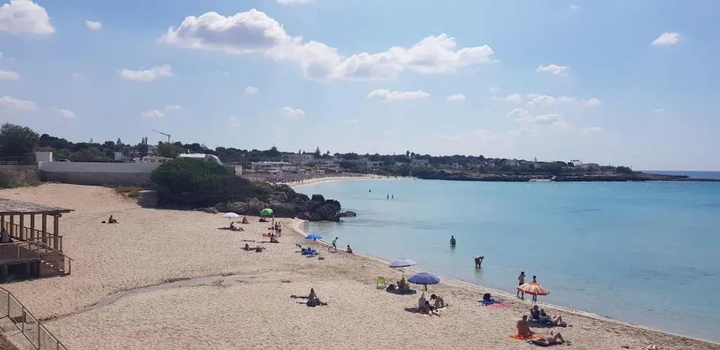 Aragonese 73
