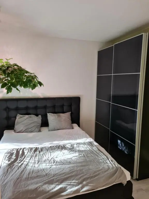 Paradise apartment