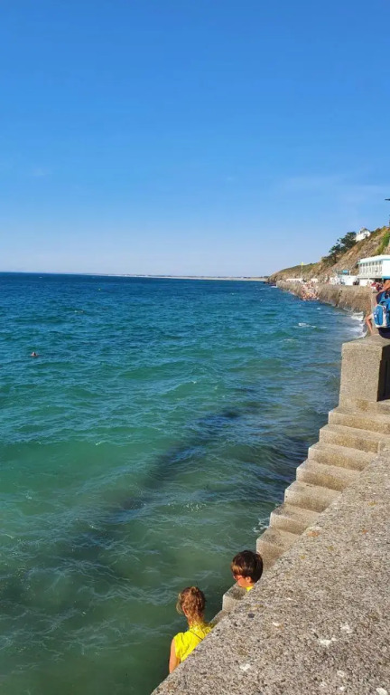 Beachdisa
