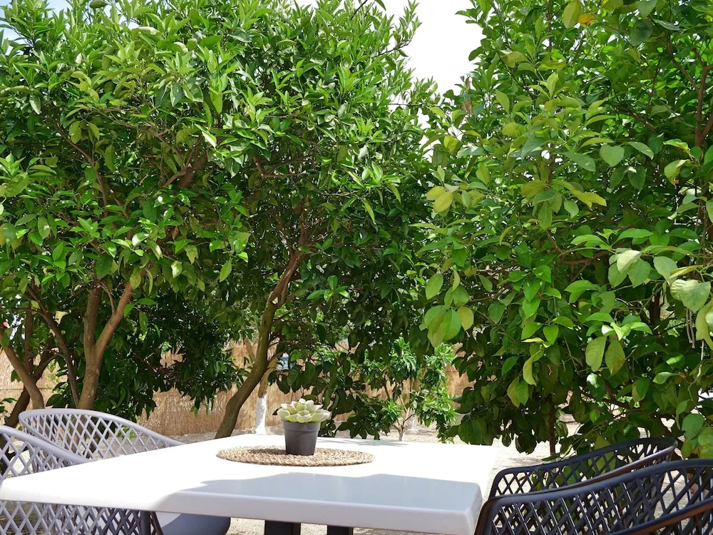 Komitsa Luxury Apartments