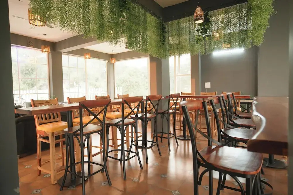 Alchemy Bistro and Inn, Dharamshala