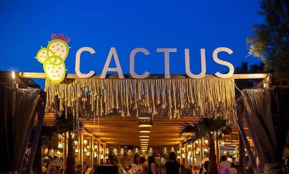 Cactus Beach Paros