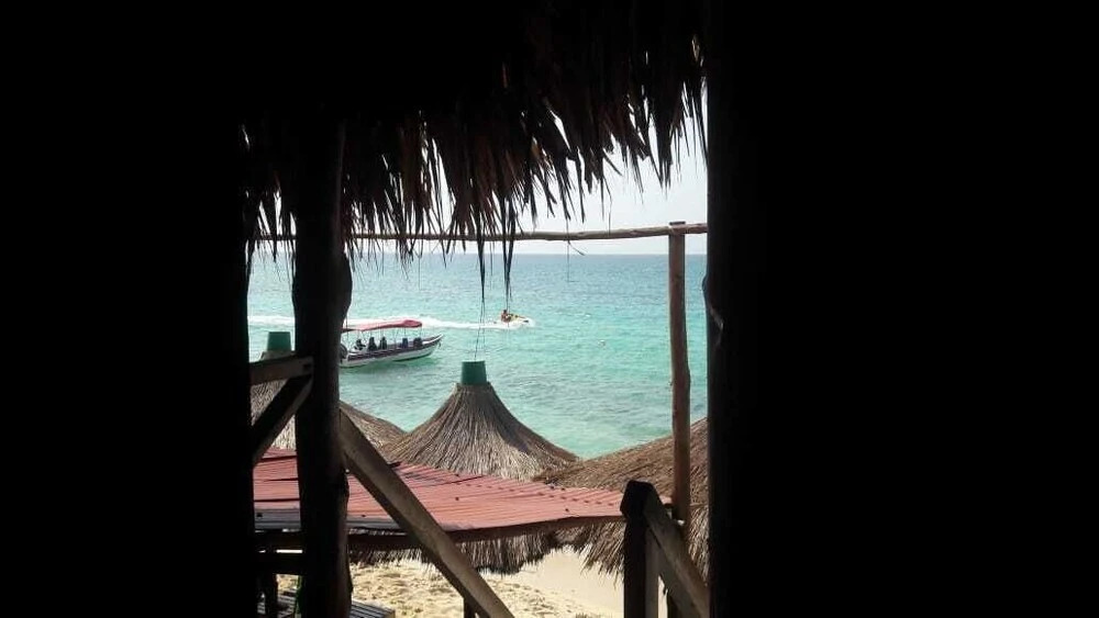 Langostino Hostal - Hostel