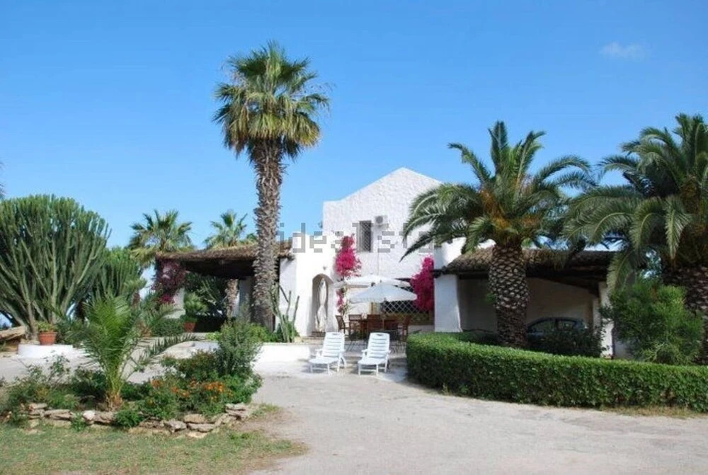 The Holiday And Art Seahorse House
