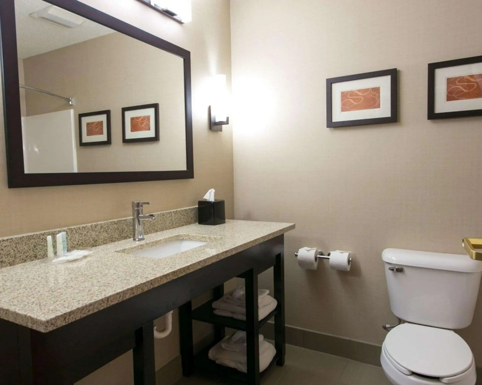 Comfort Suites Benton Harbor - St Joseph