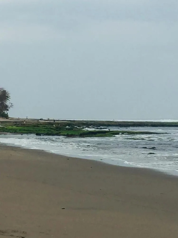 The Asri Villas