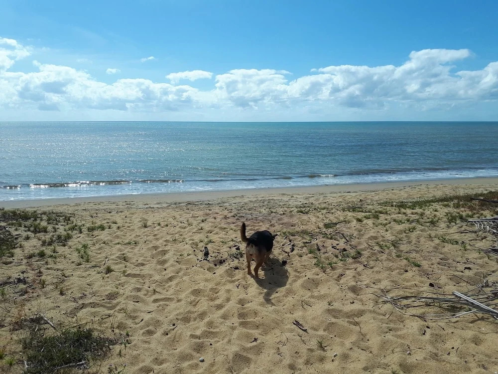 La Casa De Playa