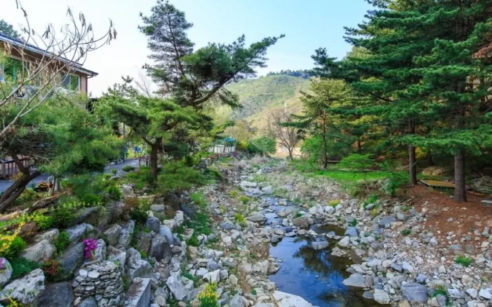 Pocheon Jatnamu Solhyanggi Pension