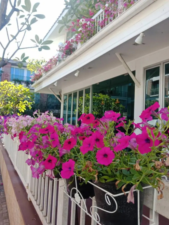 Paradise Hotel