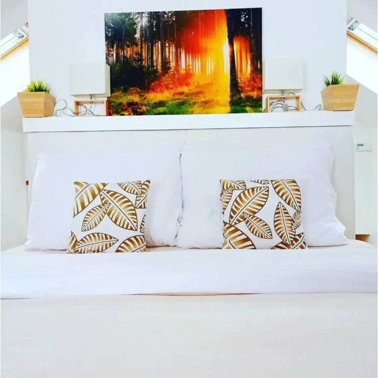 Apartmány Karlovický dvůr