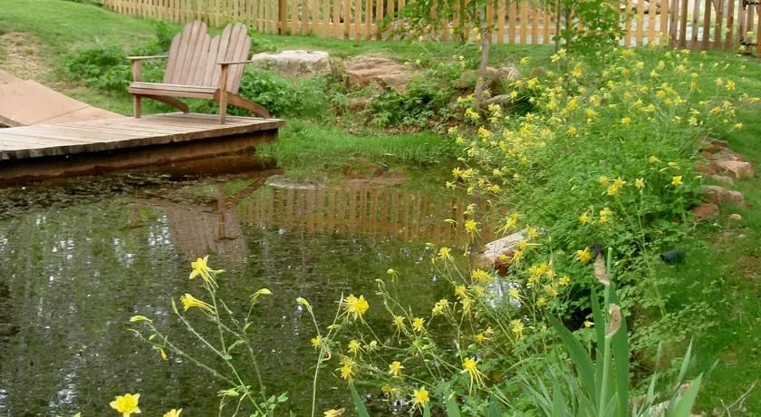 Sycamore Springs