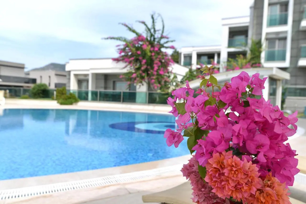 Royal Palm Residence