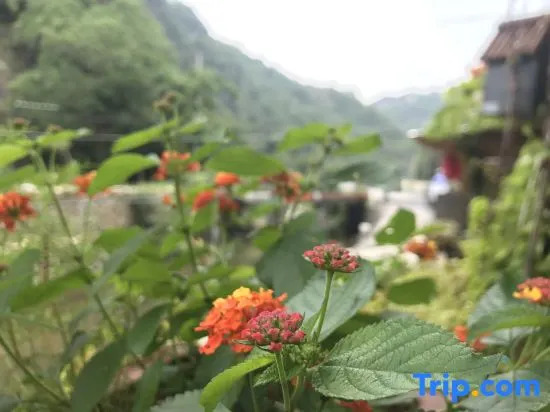 Yandangshan Longqiu Hostel