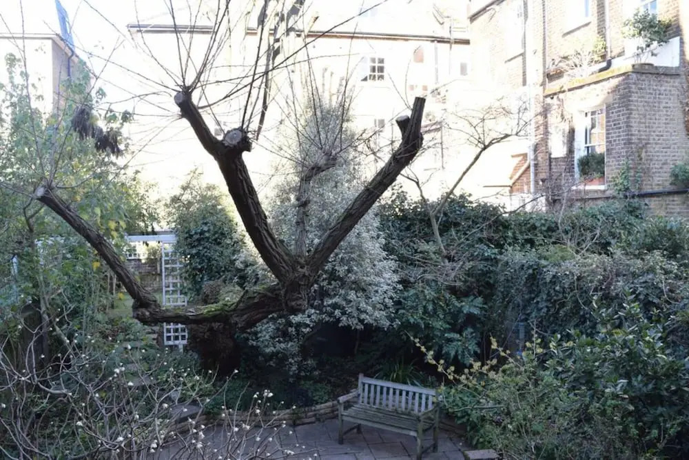 Family House in Kentish Town