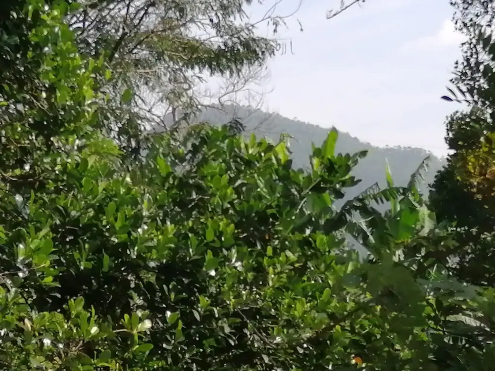 Foret De Vill - Hostel