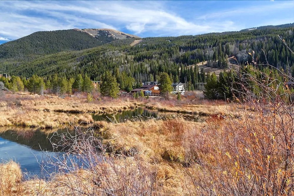 23058 Hwy 6 Condo Unit 122 by RedAwning