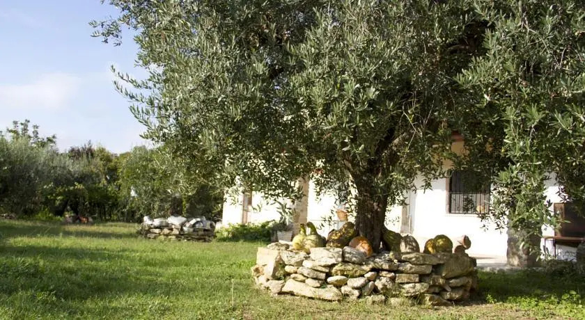 Casa DellArciprete B&B