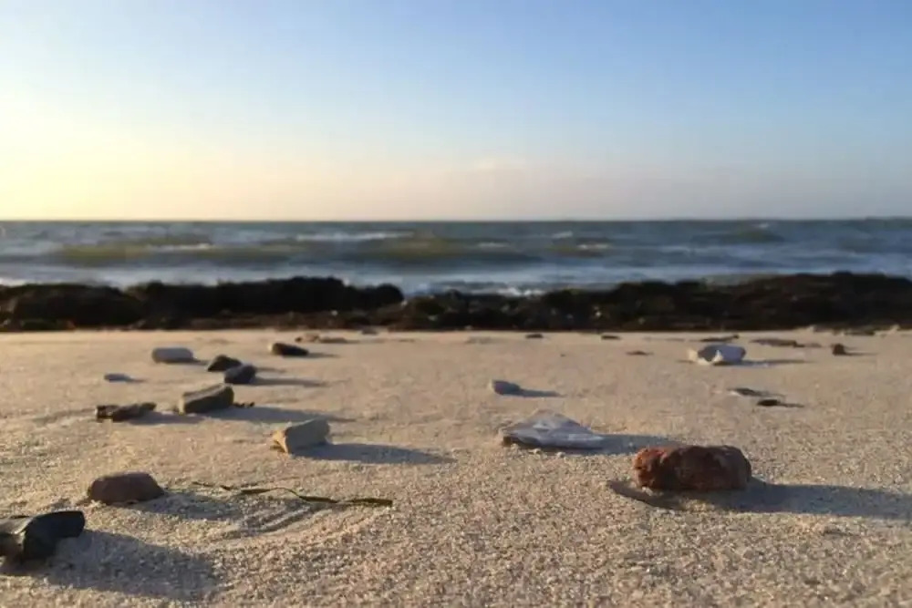 Ferienhaus Kleine Freiheit auf Fehmarn