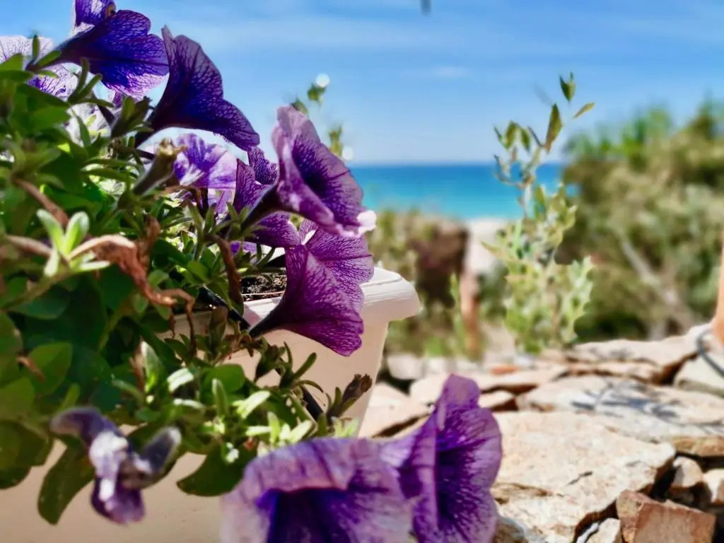 Beachfront House Geremeas Sardegna