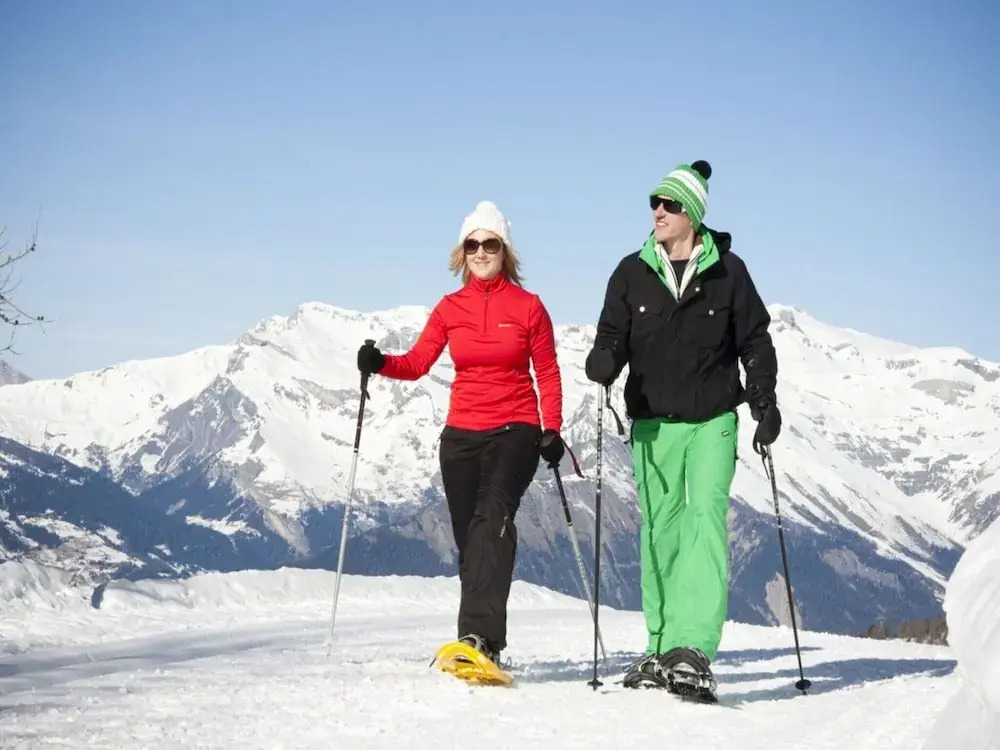 Bishorn COSY chalet 4 personnes