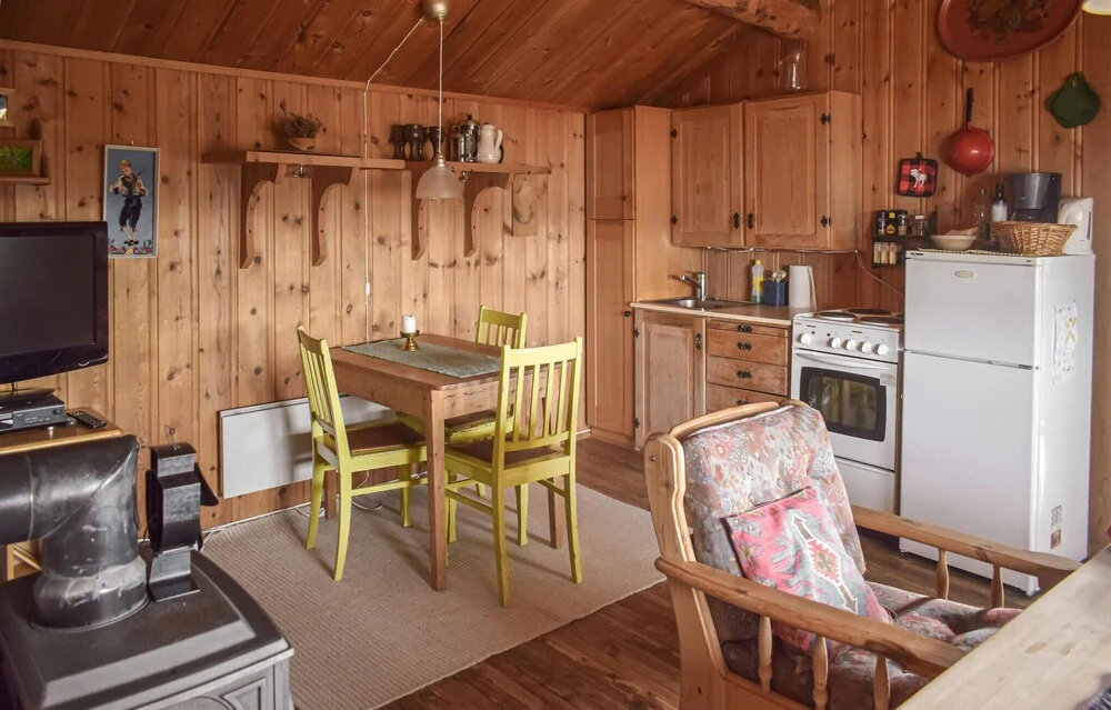 Amazing Home in Rauland With 2 Bedrooms