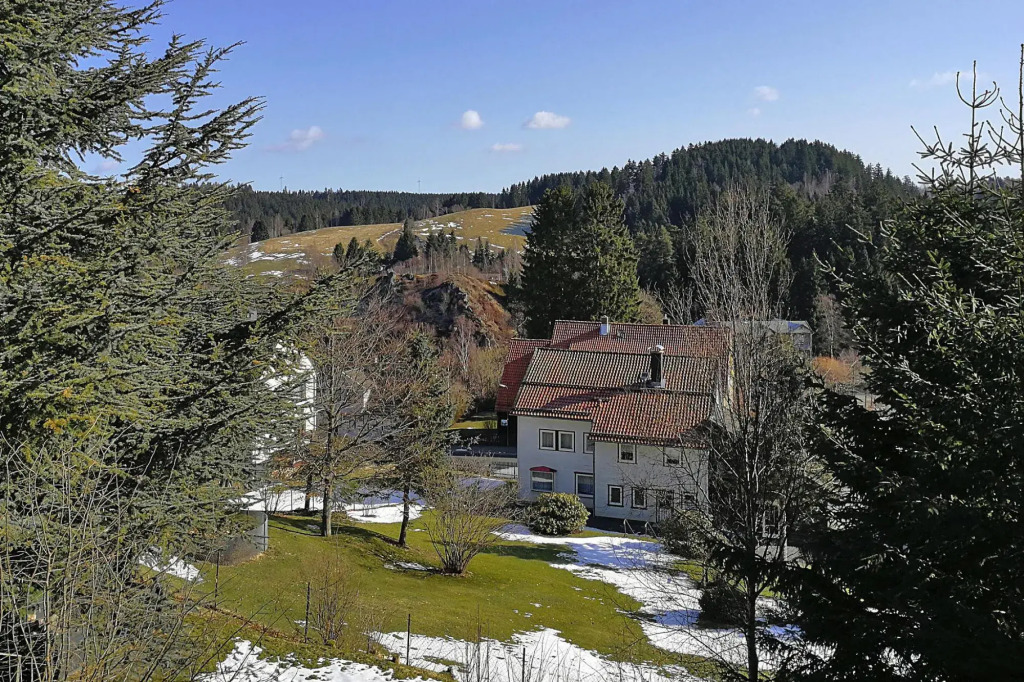 Apartment house to the fir tree, Altenau