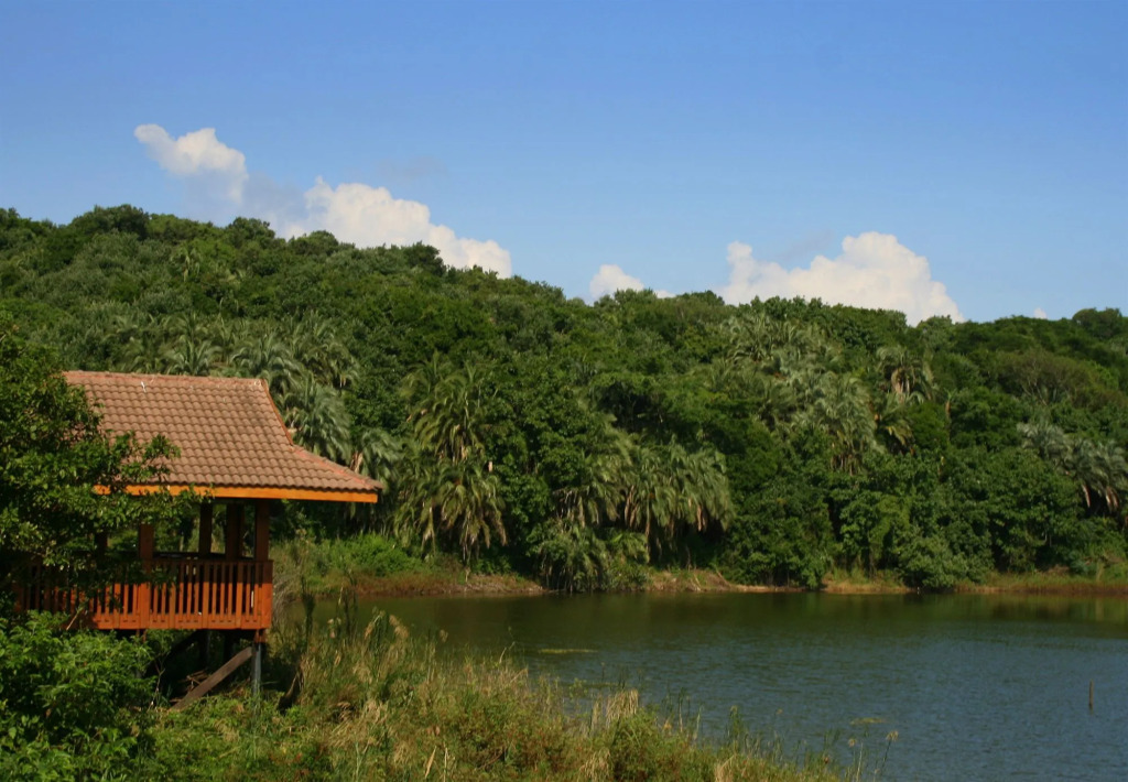 Imvubu Lodge