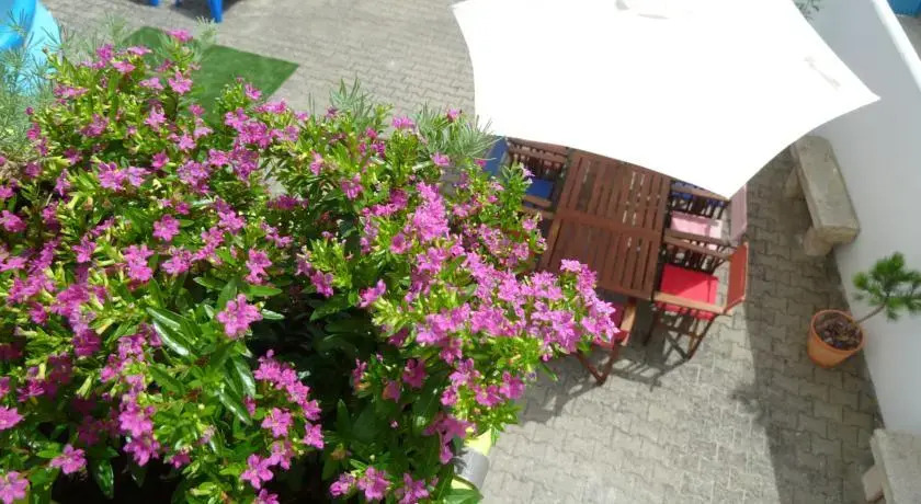Obidos Wine & Surf Hostel