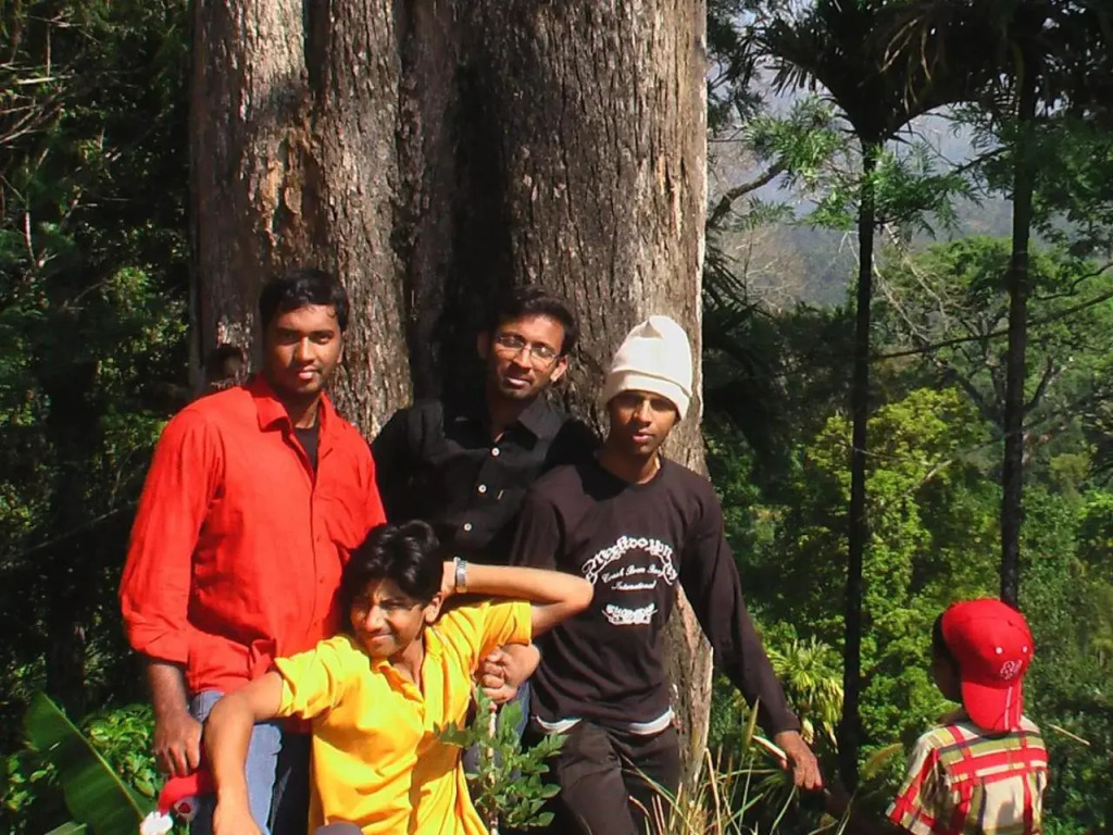 Jungle Tree House Munnar
