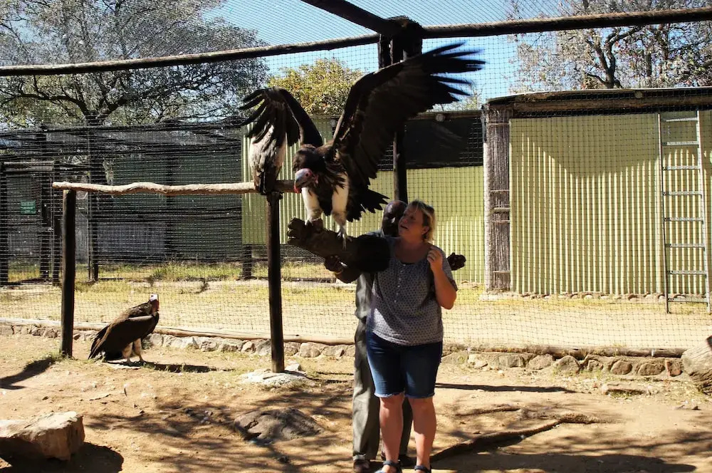 Lowveld Escape