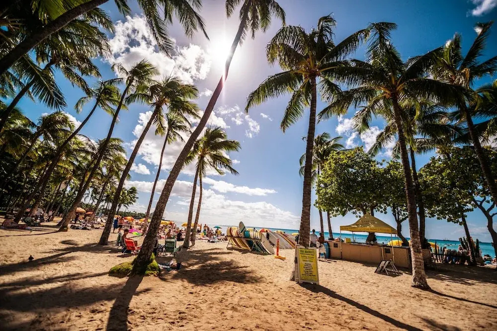 Waikiki Banyan 1BR Condos with No Parking