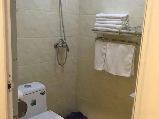 Weixian Qingya Hotel
