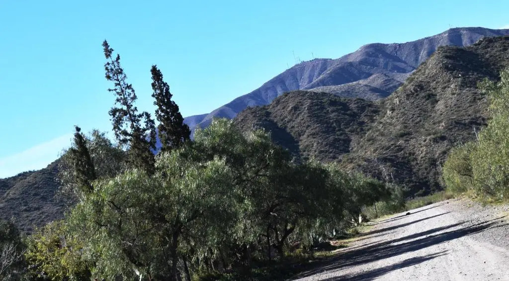 Mendoza San Isidro Cabaña