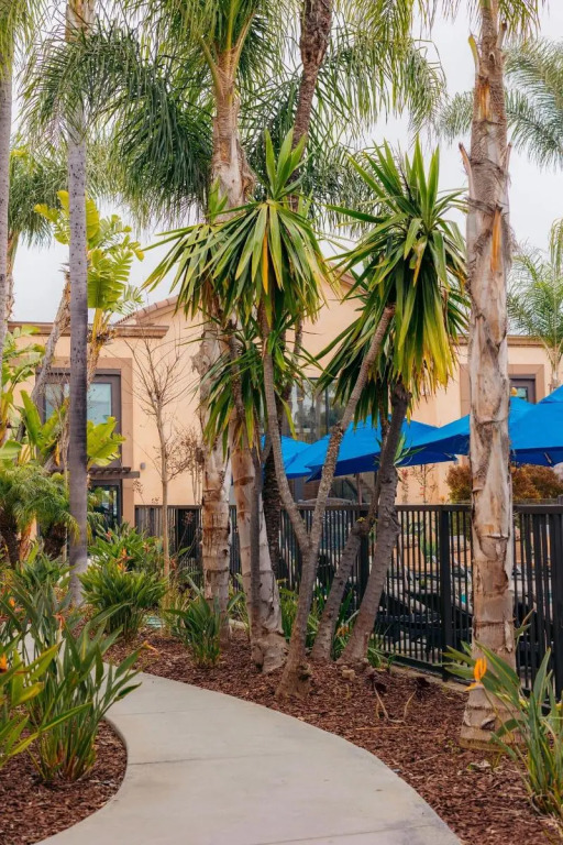 The Cove Hotel