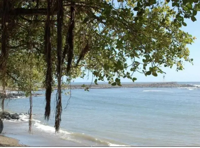 Appartement Duplex Terre Sainte Plage La Rose des Vents