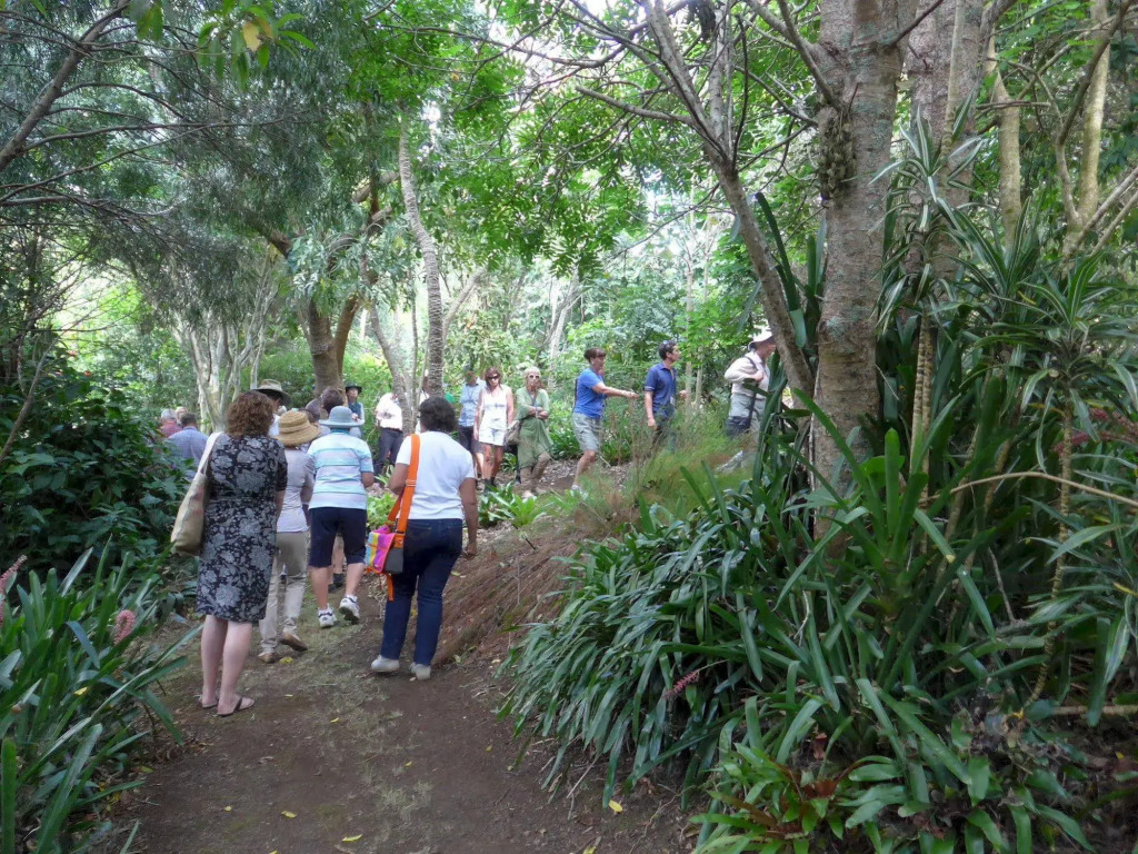 Wharepuke Subtropical Accommodation