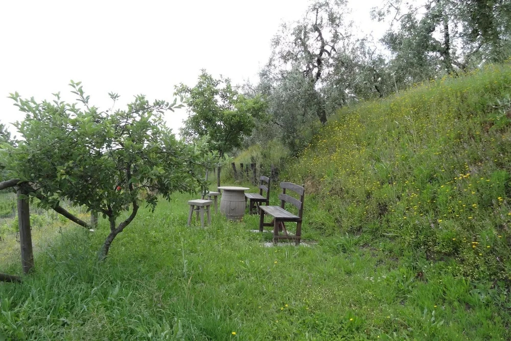 Villa in Vinci with Private Pool & Vineyard Views