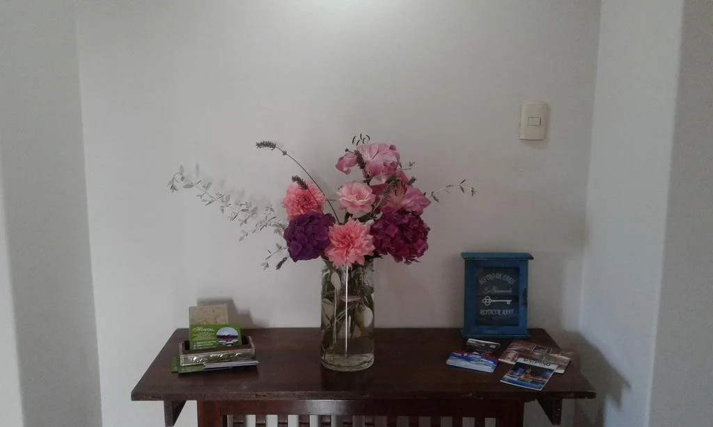 Hostal Alto Riviere