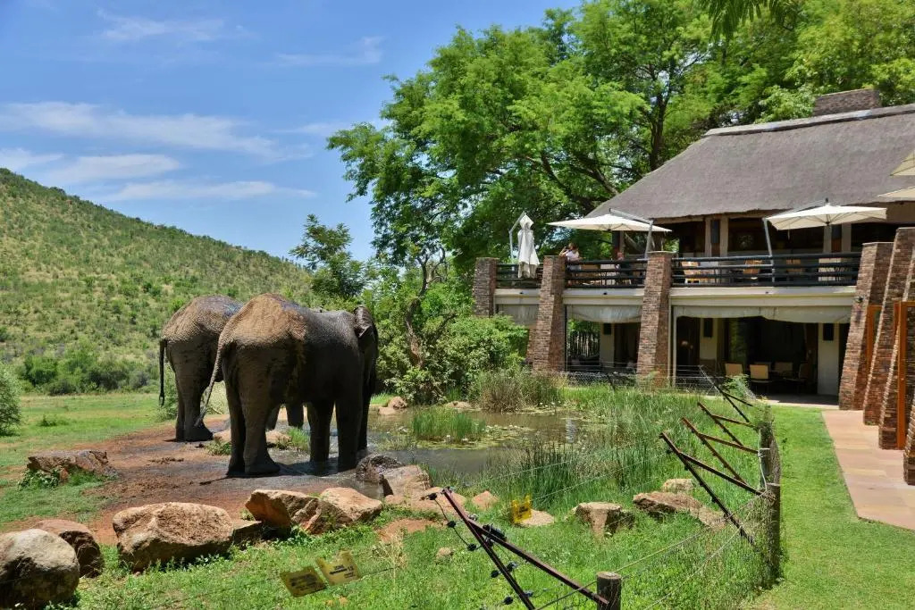 Kwa Maritane Bush Lodge Pilanesburg