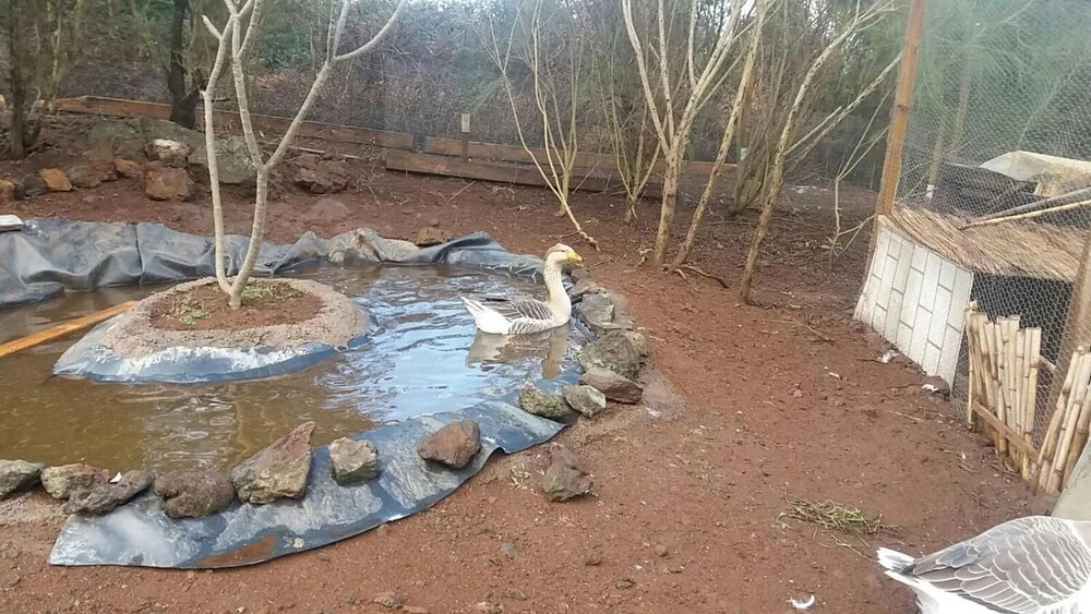 Finca La Jaraca