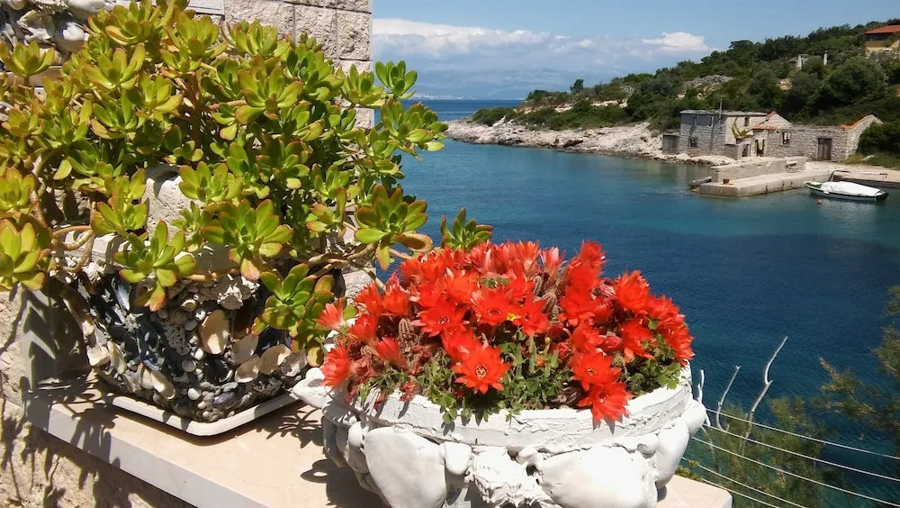 Apartment By the sea