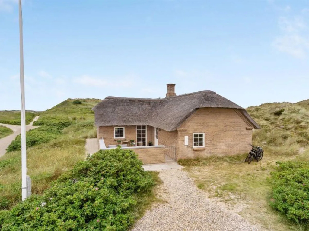 "Manfred" - 250m from the sea in Western Jutland