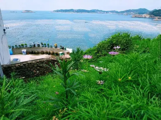 Shengsi wolfberry Shengshan Island Youth Hostel