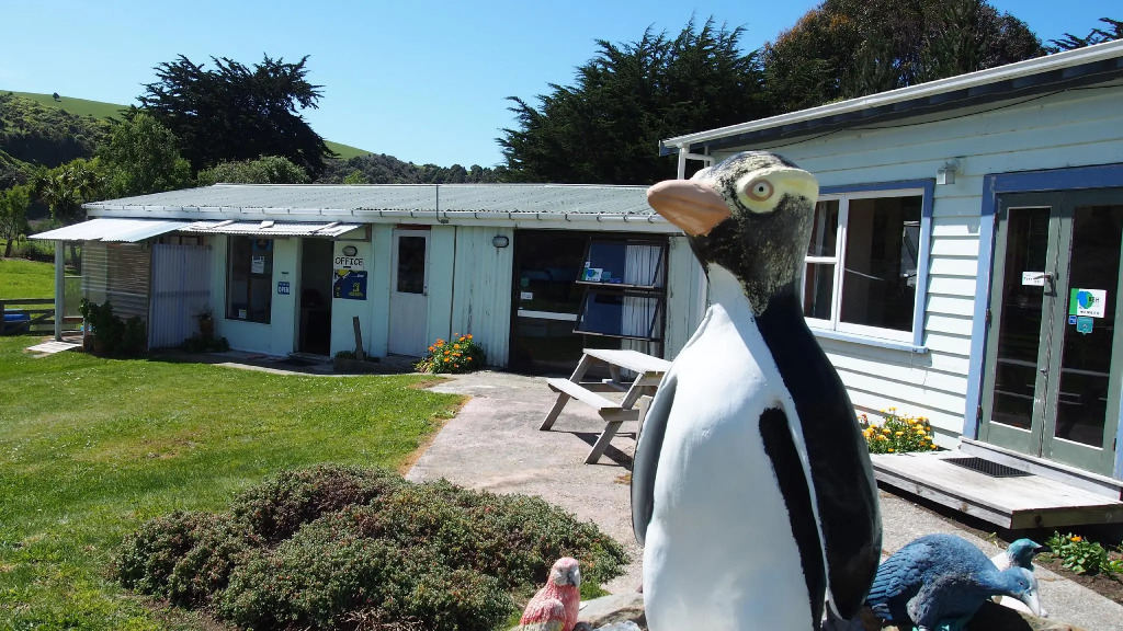Surat Bay Lodge, Motel and Backpackers