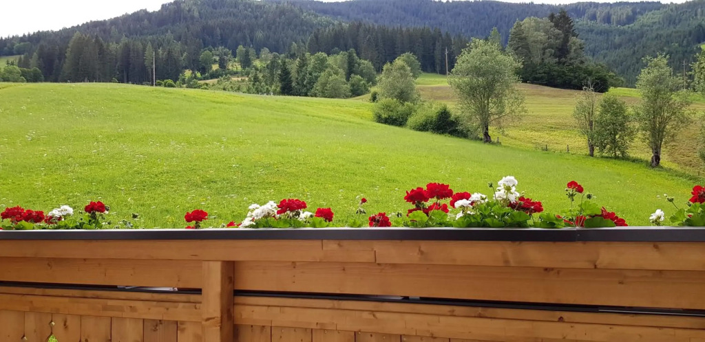 Appartement Bergpanorama