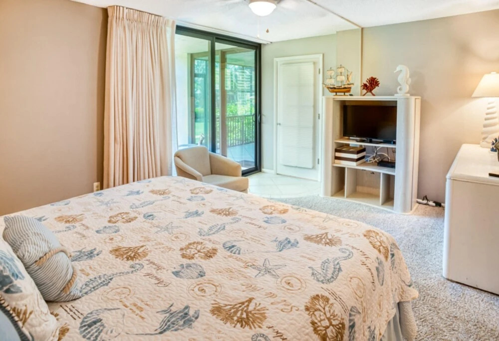Loggerhead 591